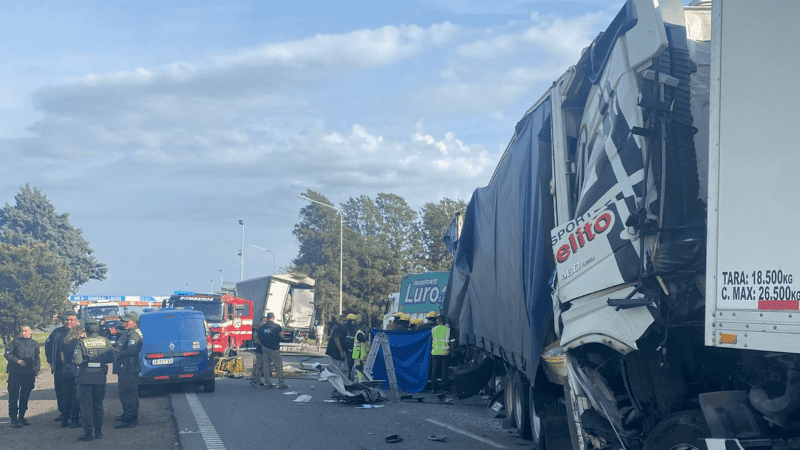 Los vehículos involucrados en el siniestro fatal.