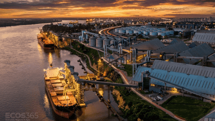 El aporte del sector agroexportador sufrió una fuerte caída en febrero.