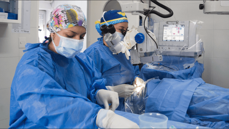 Previo al día de las intervenciones, la comuna ejecutó un rastrillaje preventivo en diversos barrios.