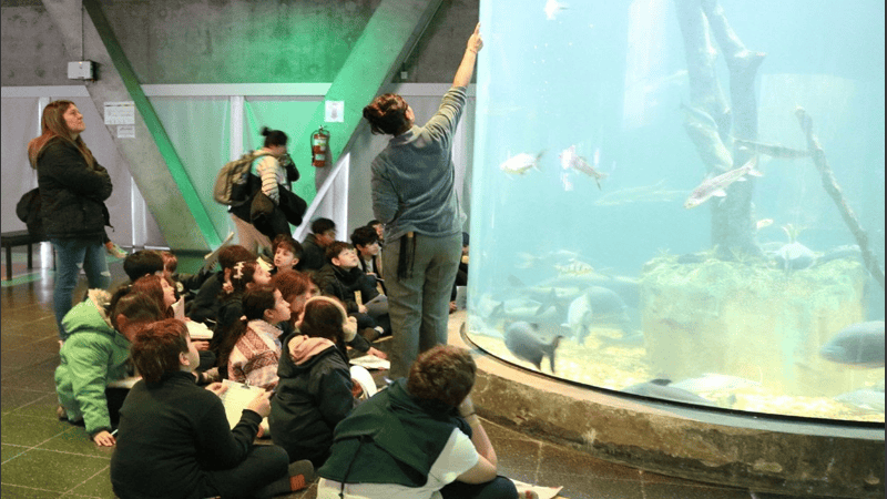 La convocatoria está dirigida a instituciones de todos los niveles educativos.