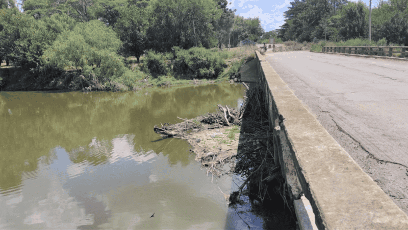 Ramas y residuos quedaron contra la estructura del puente luego de la crecida del año pasado.&nbsp;