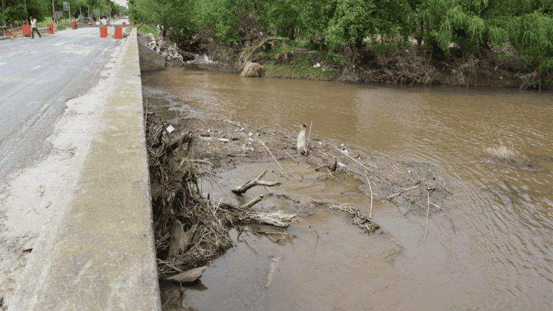 Ramas y residuos quedaron contra la estructura del puente luego de la crecida del año pasado.&nbsp;