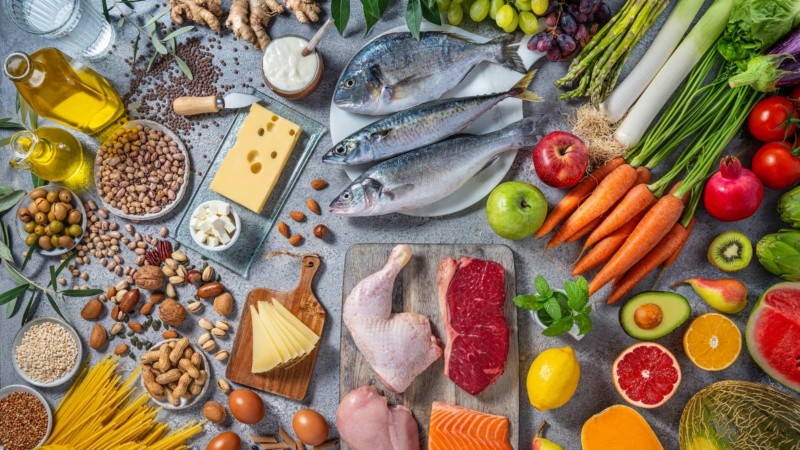 El documento introduce definiciones claras sobre calidad nutricional, densidad de nutrientes y patrones de alimentación sostenibles para la salud a largo plazo.