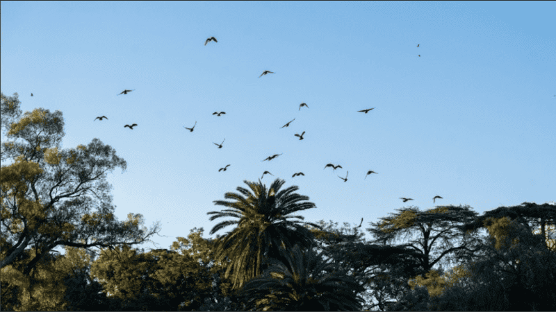Hacia la tarde y la noche, el cielo continuará algo nublado pero sin probabilidades de precipitaciones.