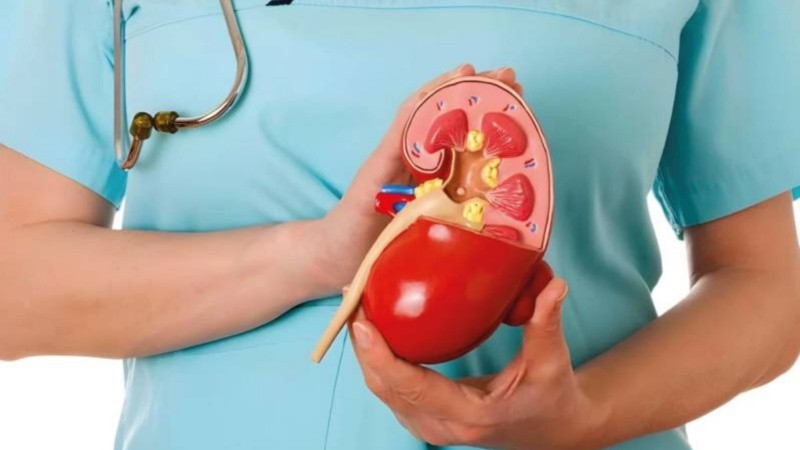 Un día mundial para concientizar sobre la importancia de chequeos de la enfermedad renal.