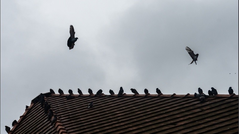 Se espera un día con muchas nubes y algún posible chaparrón