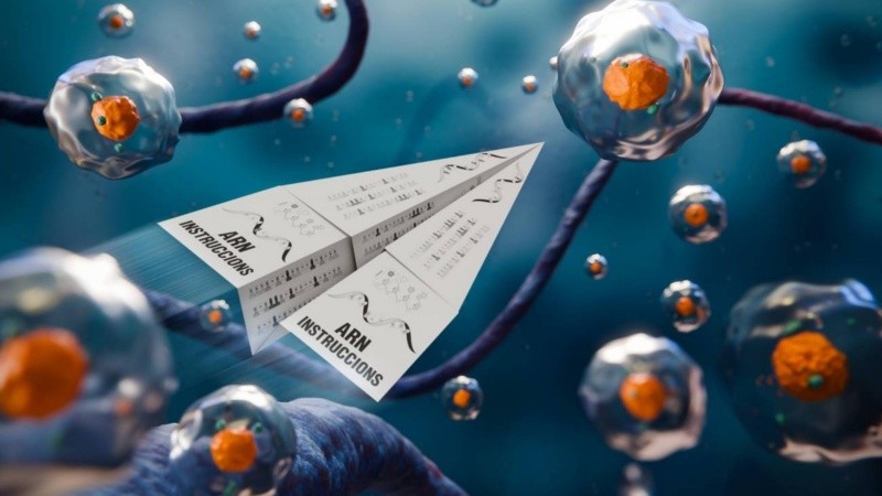 Cabe resaltar que los distintos cánceres comparten estrategias comunes de edición celular que habían pasado desapercibidas en investigaciones centradas únicamente en los genes.
