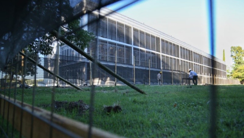 Las obras al lado del Isef (Alan Monzón)&nbsp;