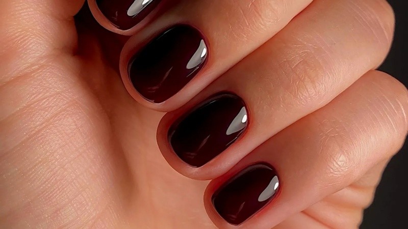 Lo clásico no solo vuelve, sino que puede reinventarse.