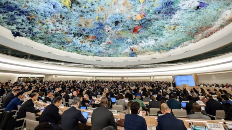 Organización Naciones Unidas (ONU).