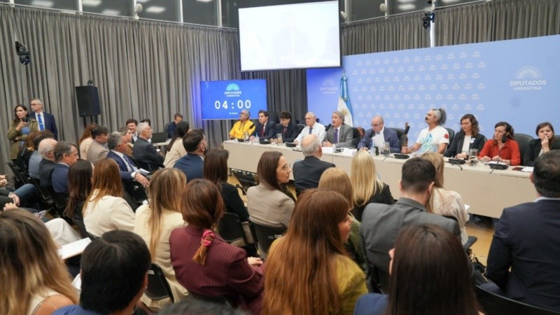 Este miércoles comenzó la audiencia pública en el Congreso.