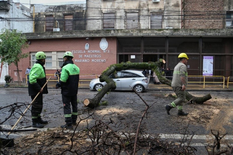 Protección Civil trabaja en el lugar para retirar las ramas. Foto: Alan Monzón (Rosario3).&nbsp;