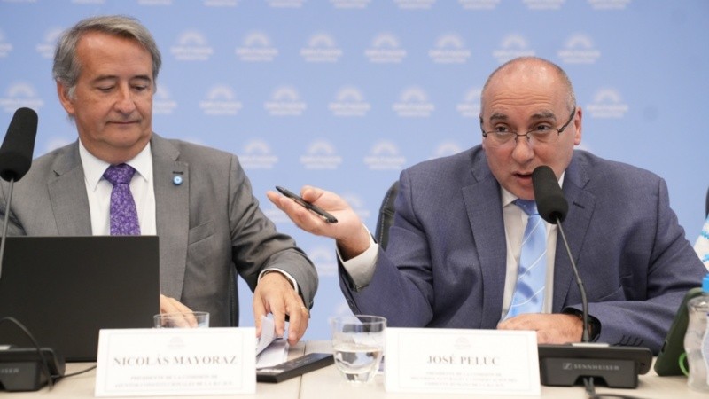 Mayoraz preside la comisión de Asuntos Constitucionales.