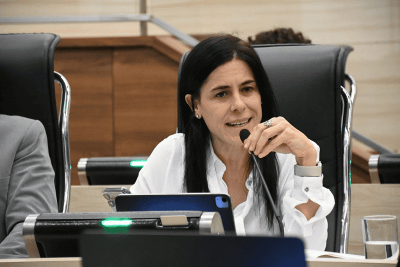 Labayru expuso su proyecto en el Concejo este jueves.&nbsp;