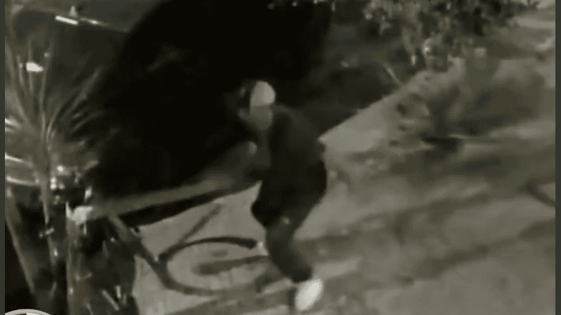 Un insólito robo se dio en Suipacha y San Juan.