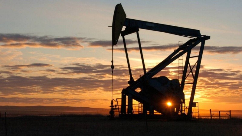 Entre los productos nacionales el rubro que más aumentó fue el de petróleo crudo y gas.