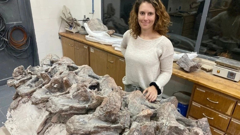 Los restos fósiles recolectados incluyen porciones significativas de la columna vertebral del Bicharracosaurus.