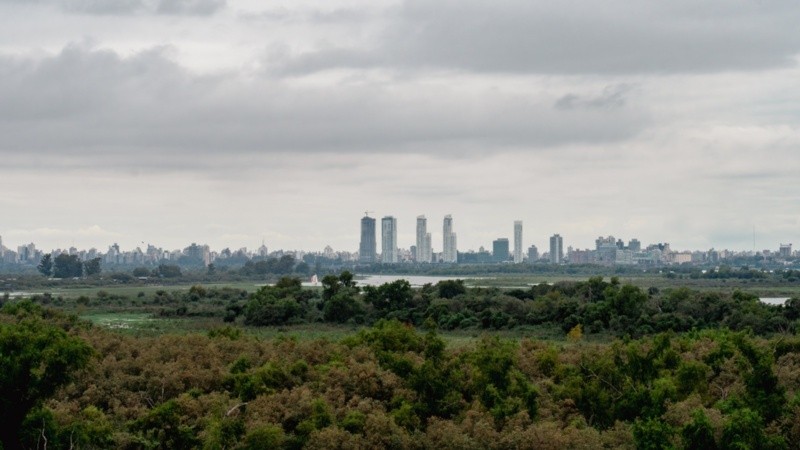 La humedad alta favorece la multiplicación de ácaros y hongos.