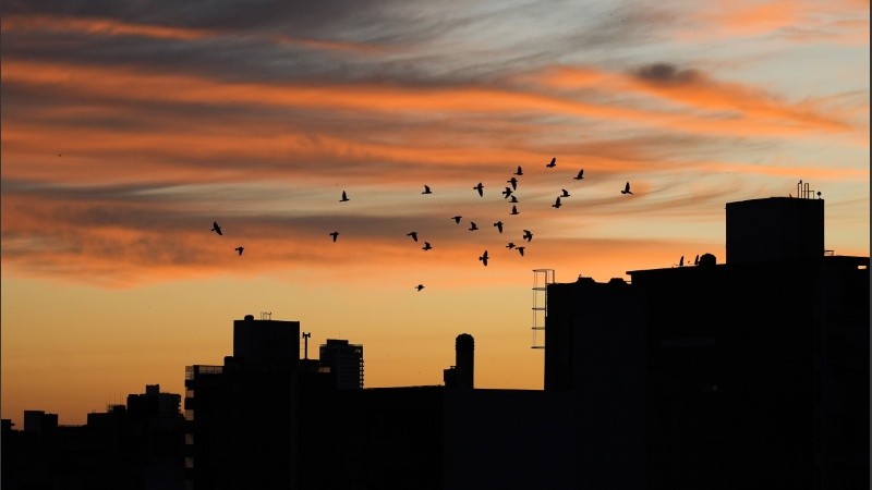 Luz dorada sobre la ciudad en un día bien otoñal.