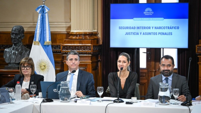 Dos comisiones del Senado dieron despacho favorable a los proyectos.