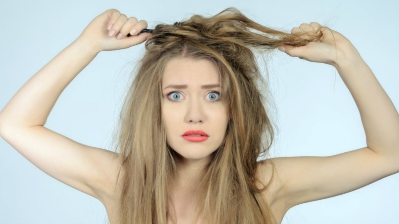 Cuando la humedad aparece, el cabello cambia las reglas.