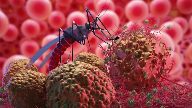 Entender este vínculo, señalan los investigadores, puede aportar claves valiosas para comprender cómo se comportan hoy los patógenos en un mundo atravesado por el cambio climático.