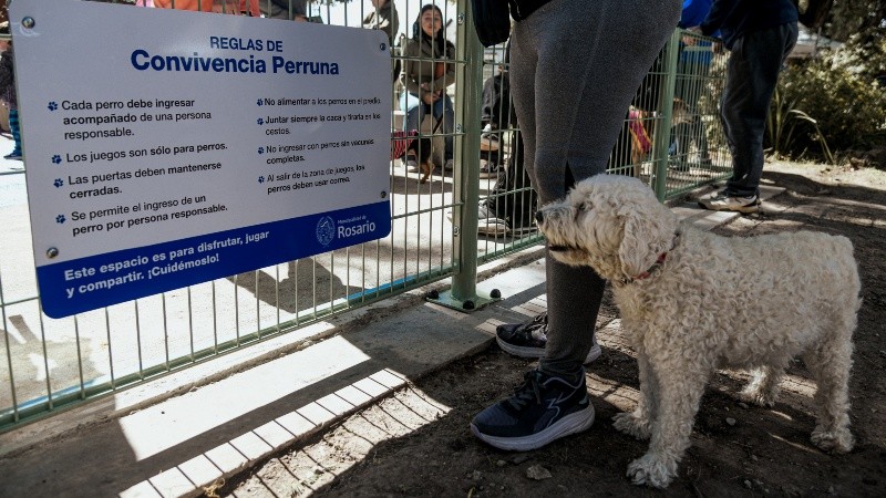 El predio es de acceso libre y gratuito, con condiciones para un uso regulado. (Municipalidad/Jonatan Bustos)