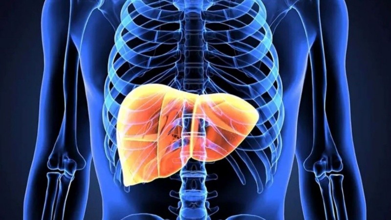 Comprender este proceso es clave para intervenir antes de que el daño sea irreversible.