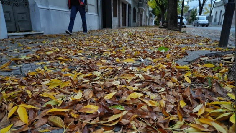 La ciudad acolchonoda de hojas de un ocre encantador.