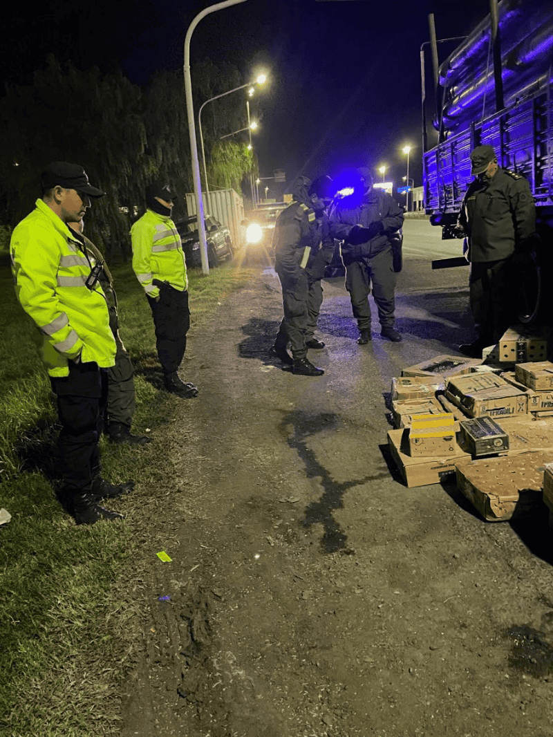 Los efectivos escucharon ruidos extraños en el cargamento y dieron con las cajas con aves.&nbsp;