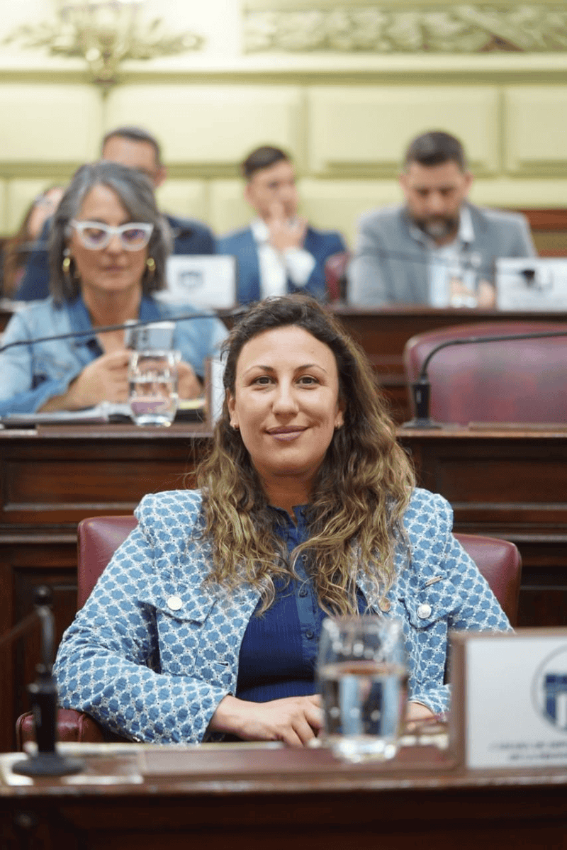 La diputada Varinia Drisun, autora de la iniciativa&nbsp;