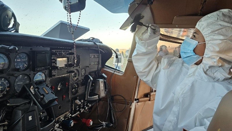 &nbsp;El Cessna 210 aterrizó en un campo preparado como pista clandestina. (Gendarmería)