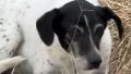 Lola es buscada por su familia.