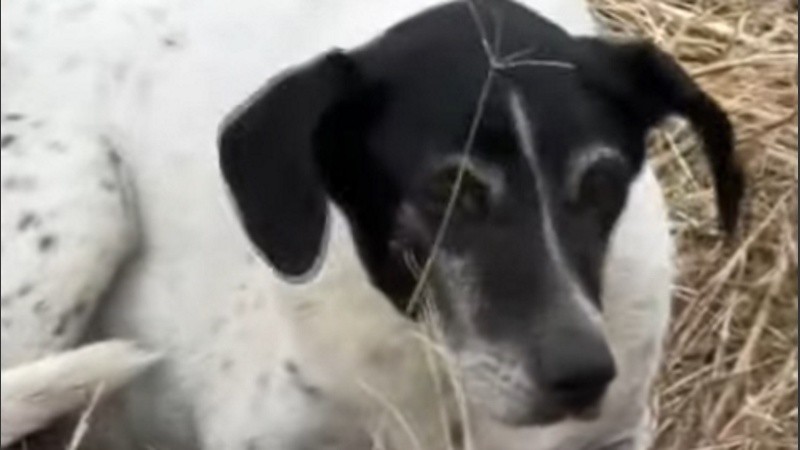 Lola es buscada por su familia.