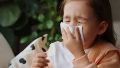 Para los pediatras, el mayor foco de contaminación continúa siendo el virus sincicial respitatorio.