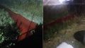 Un curso de sangre sorprendió a los vecinos de Casilda.