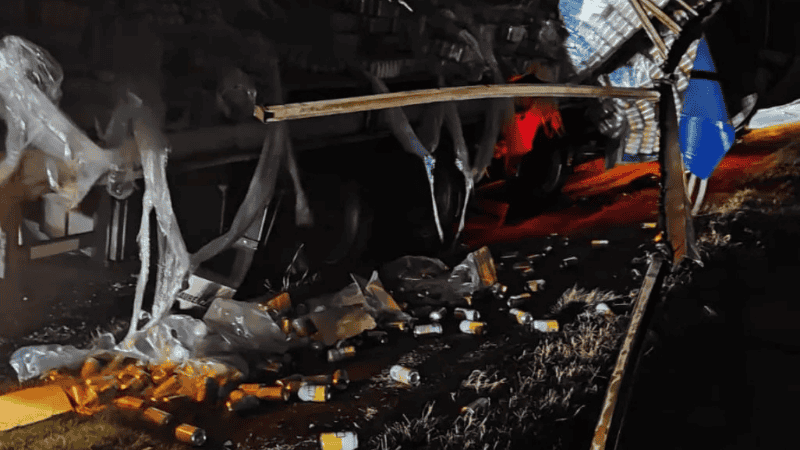 El vehículo siniestrado con parte de la carga sobre el asfalto. (eltigredepapel.com)