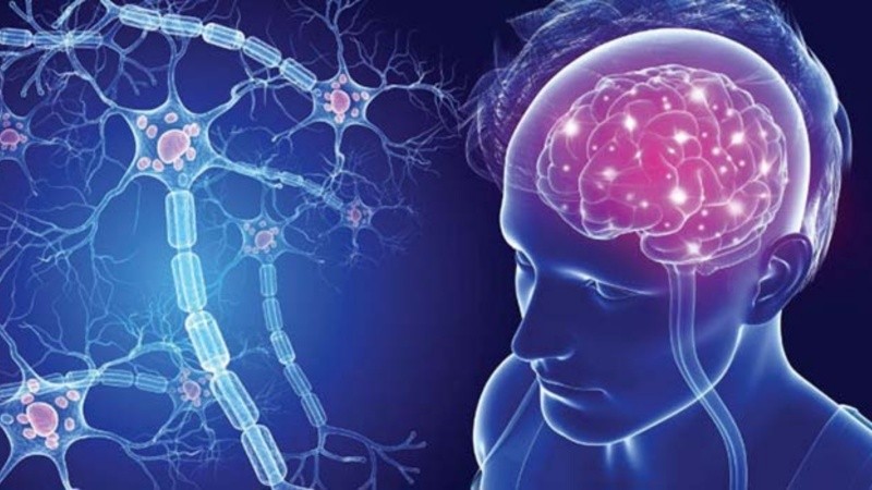Junto con los avances médicos, los especialistas subrayan la importancia de un abordaje integral que contemple la salud mental, el acompañamiento social y la actividad física adaptada a cada paciente.