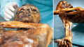 Los nuevos estudios revelaron la existencia de microorganismos vivos en el cuerpo de la momia.