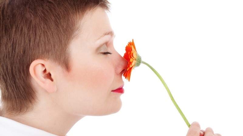 Además, los expertos destacan su enorme potencial científico y médico.