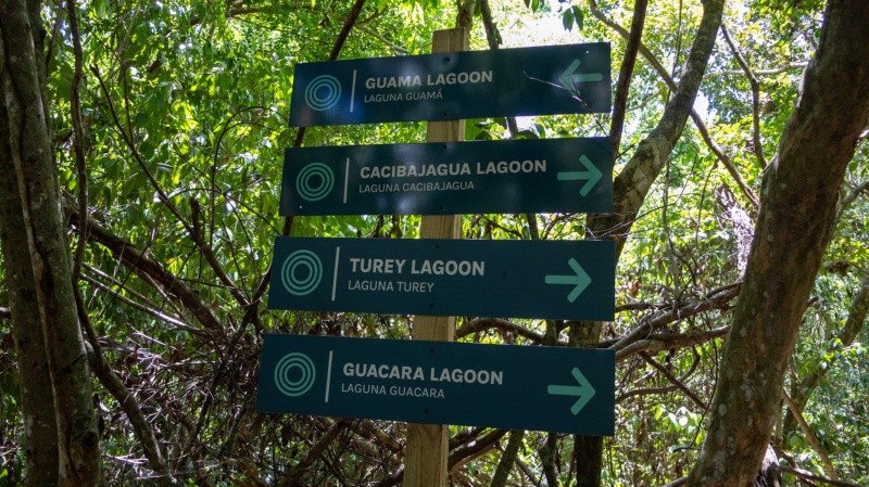 &nbsp;Los nombres que llevan las lagunas provienen de palabras que eran utilizadas por los taínos. (Rosario3)