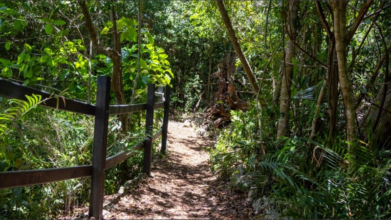 Hay varios kilómetros de senderos para caminar que son aptos para paseos en familia.