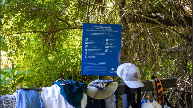 La reserva cuenta con cuatro cenotes habilitados para que los visitantes se puedan refrescar.