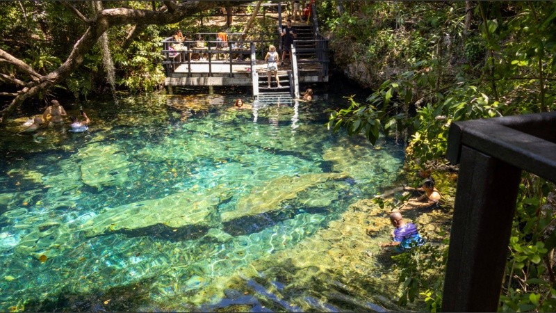Además de contar con una escalera, los cenotes también tienen plataformas desde las cuales saltar al agua.