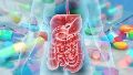 Además de generar bacterias resistentes, la automedicación y consumo innecesarios pueden alterar la microbiota intestinal y afectar el equilibrio del organismo.
