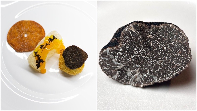 Apenas unos gramos de trufa aporta profundidad, elegancia y una identidad difícil de replicar con cualquier otro ingrediente.