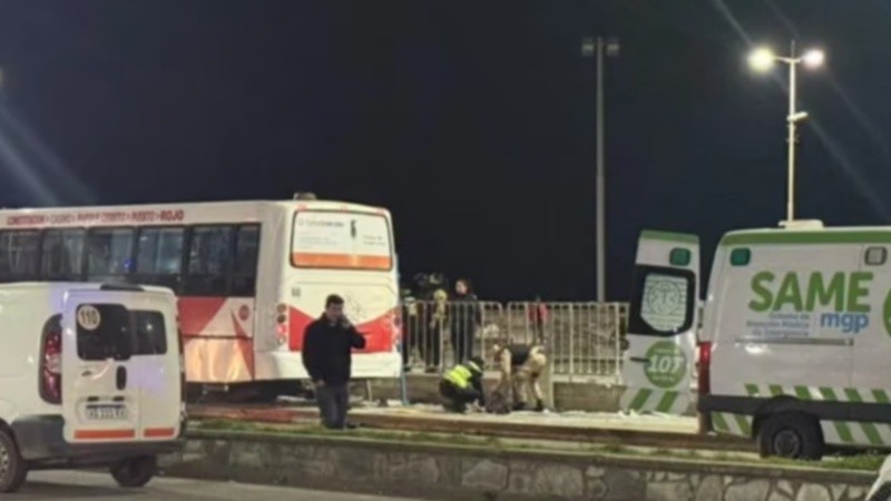 El siniestro vial en Mar del Plata.