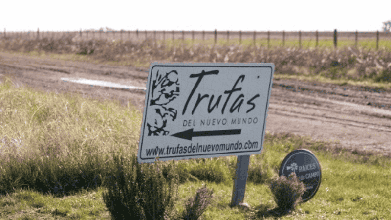 Como embajador de Trufas del Nuevo Mundo, Carlos Avalle trabaja desde hace años difundiendo las posibilidades gastronómicas de este producto excepcional.