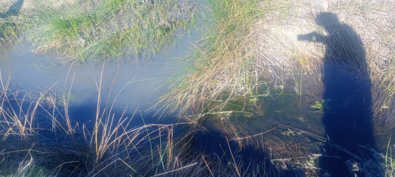 El registro fotográfico del arroyo Ludueña contaminado que Marcelo lleva casi a diario.