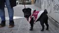 A pesar de algunos grados más que este miércoles, hoy jueves habrá que salir abirgados igual.